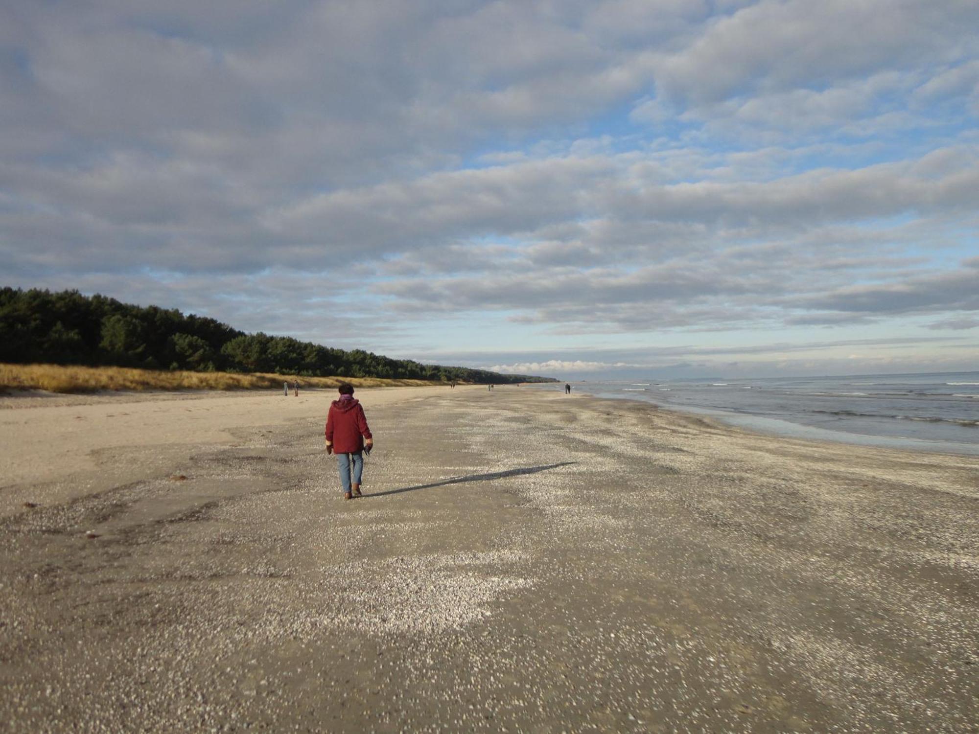 Ostseemuschel Karlshagen 외부 사진