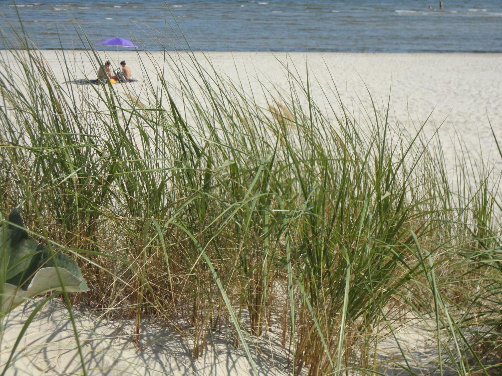 Ostseemuschel Karlshagen 외부 사진