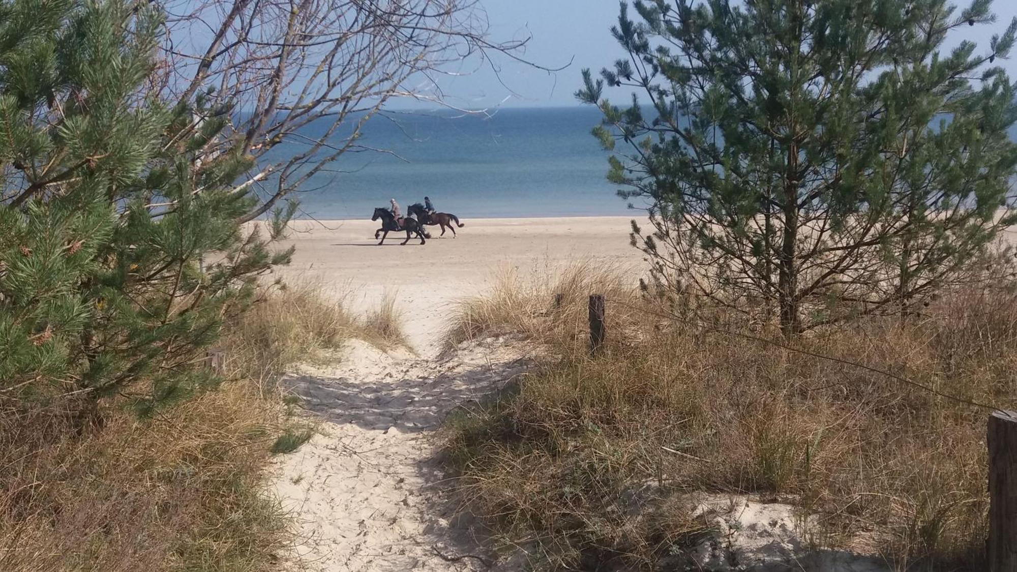 Ostseemuschel Karlshagen 외부 사진